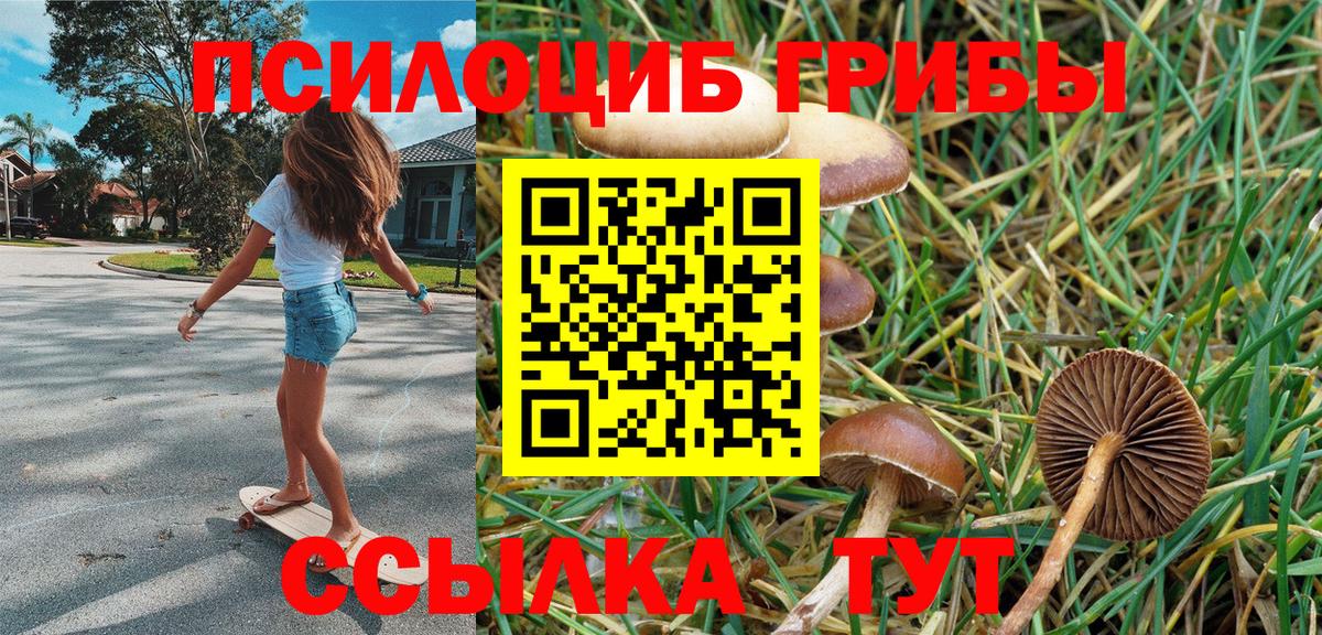 Гашиш Камышлов